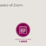 Zoom 101