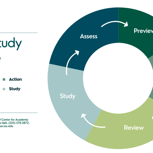 The Study Cycle The Study Cycle